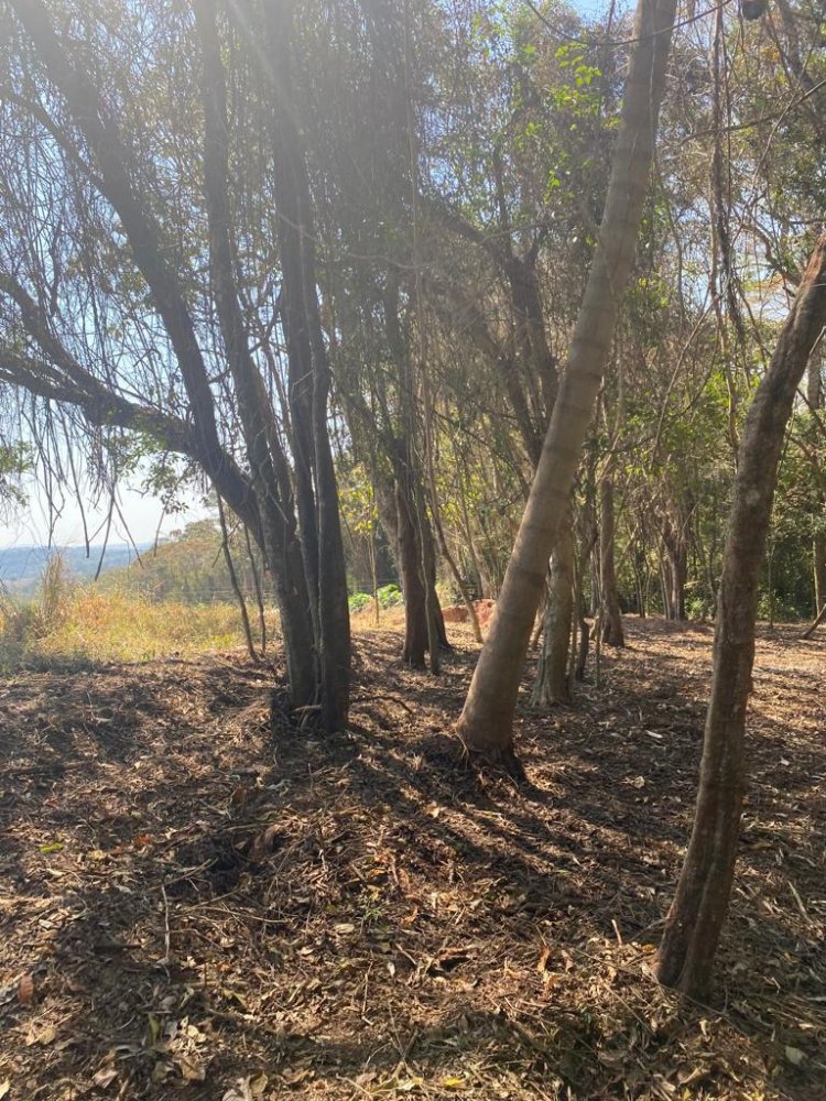 Terreno em Condomnio - Venda - Campo Verde - Ibina - SP